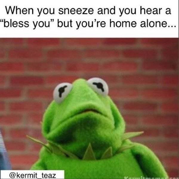 So True (38 pics)