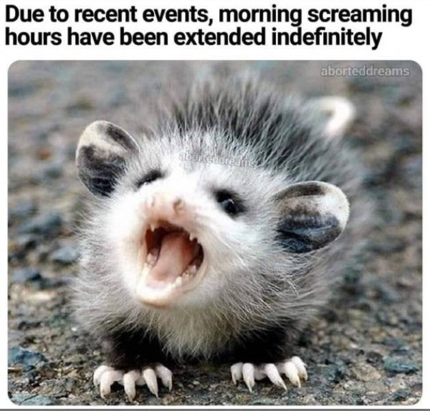 Random Funny Memes (32 pics)