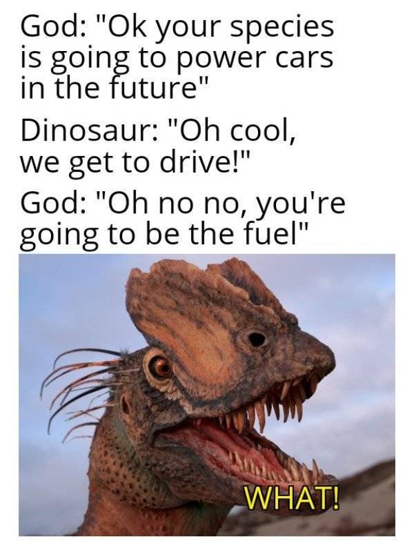 Random Funny Memes (32 pics)