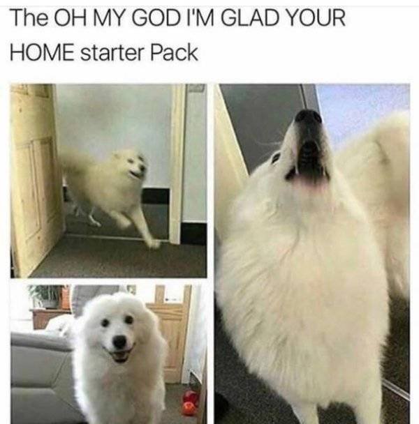 Random Funny Memes (32 pics)