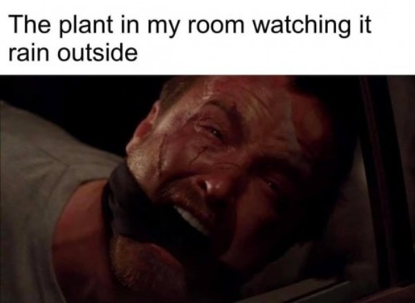 Hilarious Memes (32 pics)