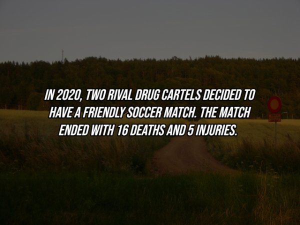 Intriguing Facts (21 pics)