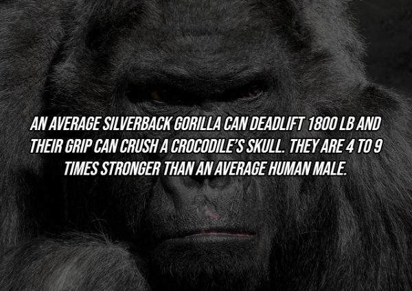 Intriguing Facts (21 pics)