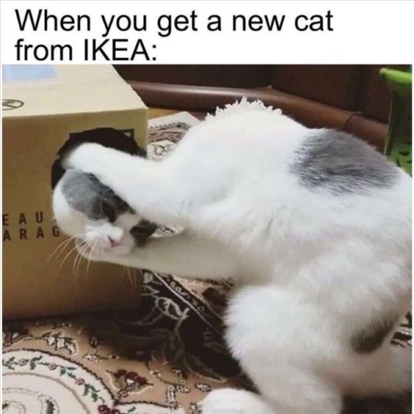 Hilarious Memes (32 pics)