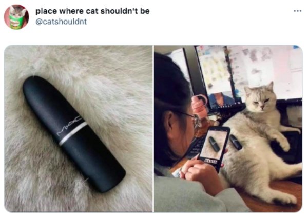 Internet Humor (30 pics)