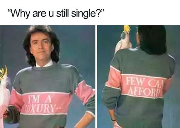 Memes For Single People (34 pics)