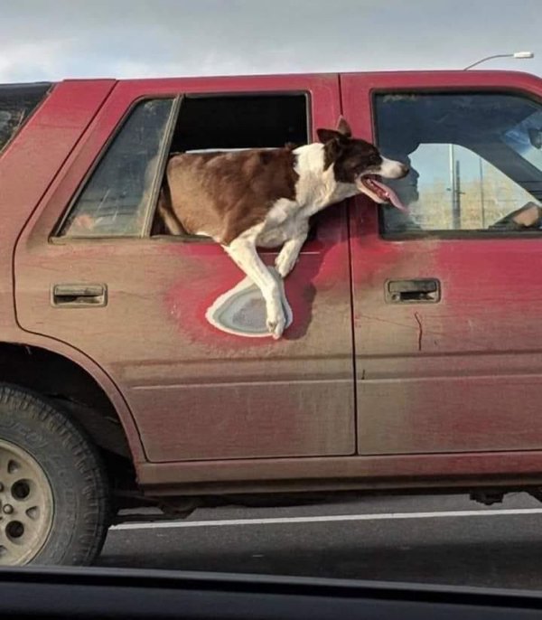 Time Changes Everything (27 pics) Time Changes Everything (27 pics)