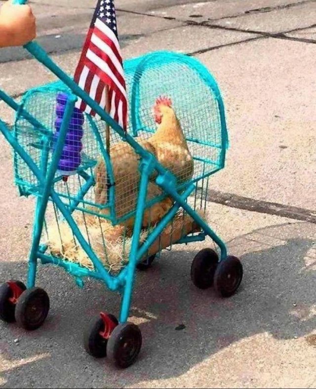 Acid Picdump 2 (90 pics)