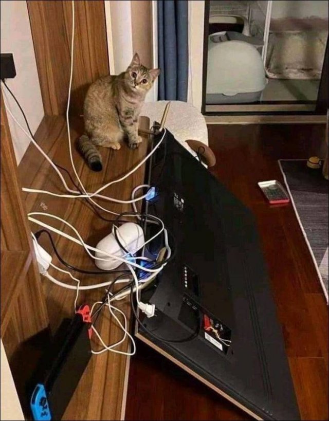Acid Picdump 2 (90 pics)