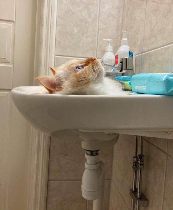 Interesting Photos (24 pics) Interesting Photos (24 pics)