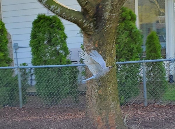 Interesting Photos (24 pics) Interesting Photos (24 pics)