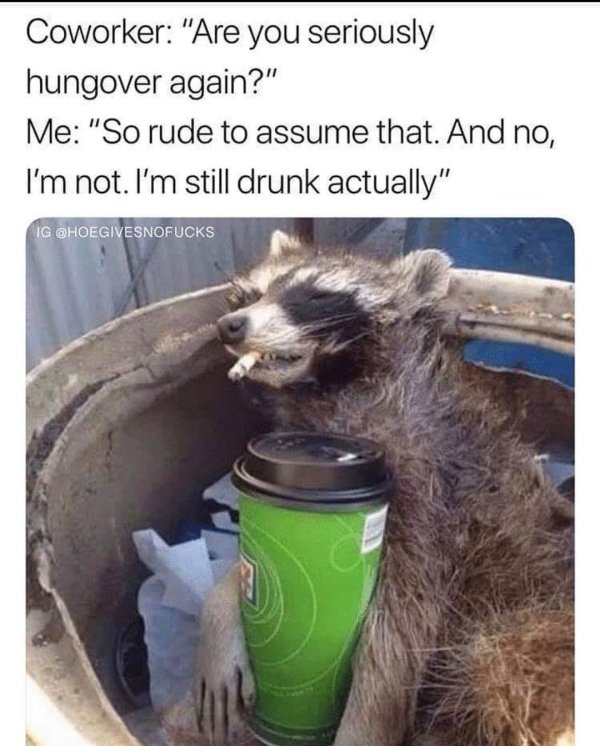 Alcohol Memes And Pictures (24 pics)