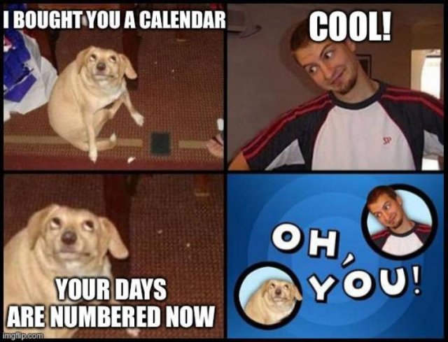 Acid Picdump 2 (90 pics)