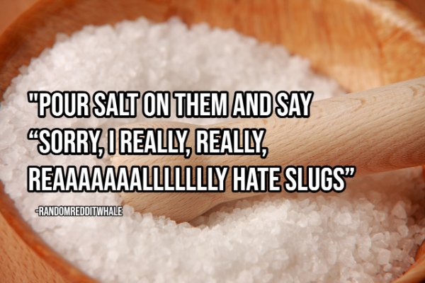 How To Ruin A Date (19 pics)