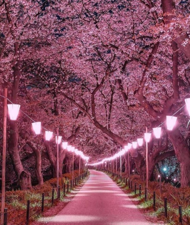 Awesome Pictures (38 pics)