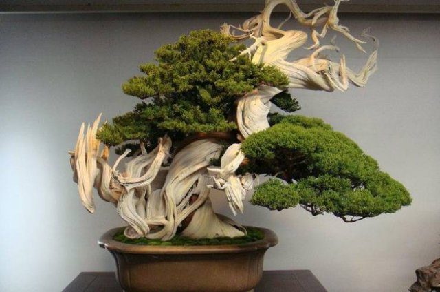 Awesome Pictures (38 pics)