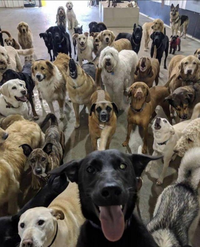 Awesome Pictures (38 pics)