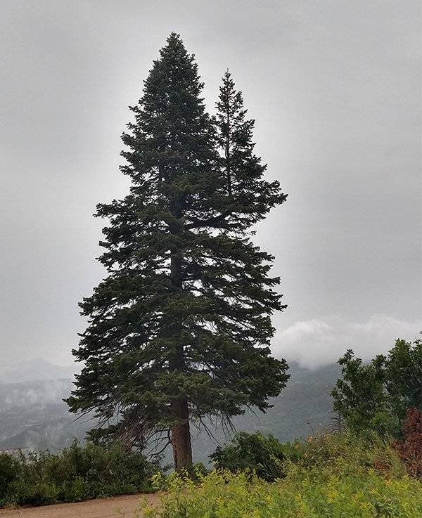 Awesome Pictures (38 pics)