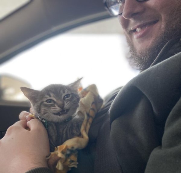Good Stories (20 pics)