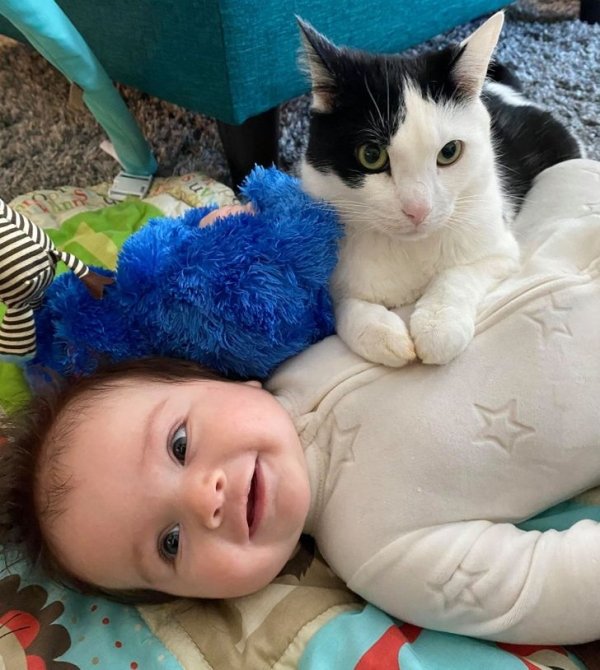 Good Stories (20 pics)