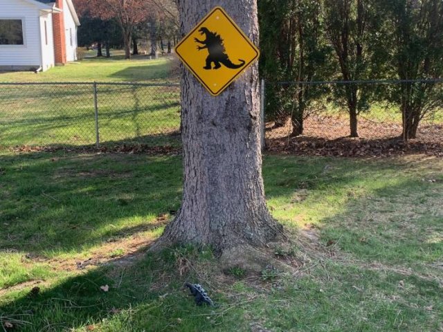 Acid Picdump 2 (78 pics)