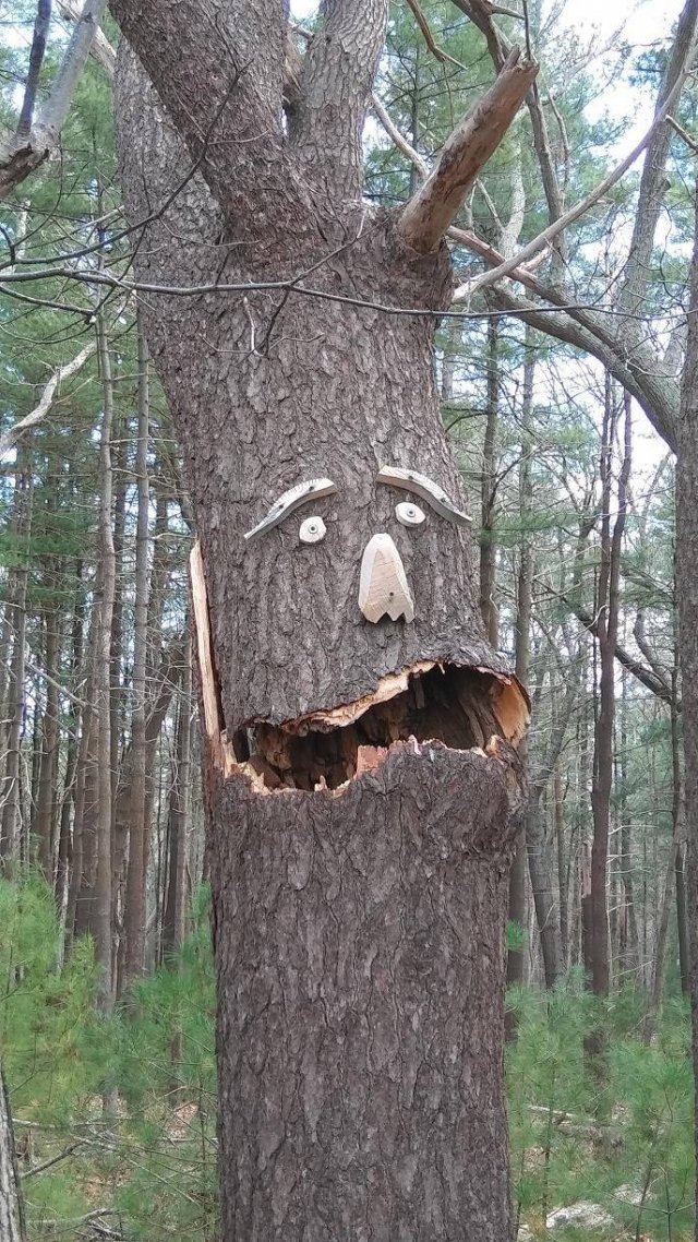Acid Picdump 2 (78 pics)