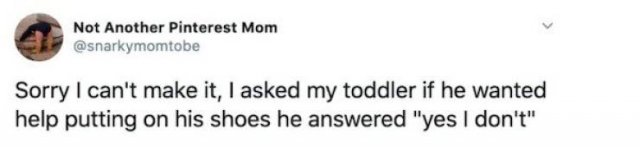 Parenting Tweets (38 pics)