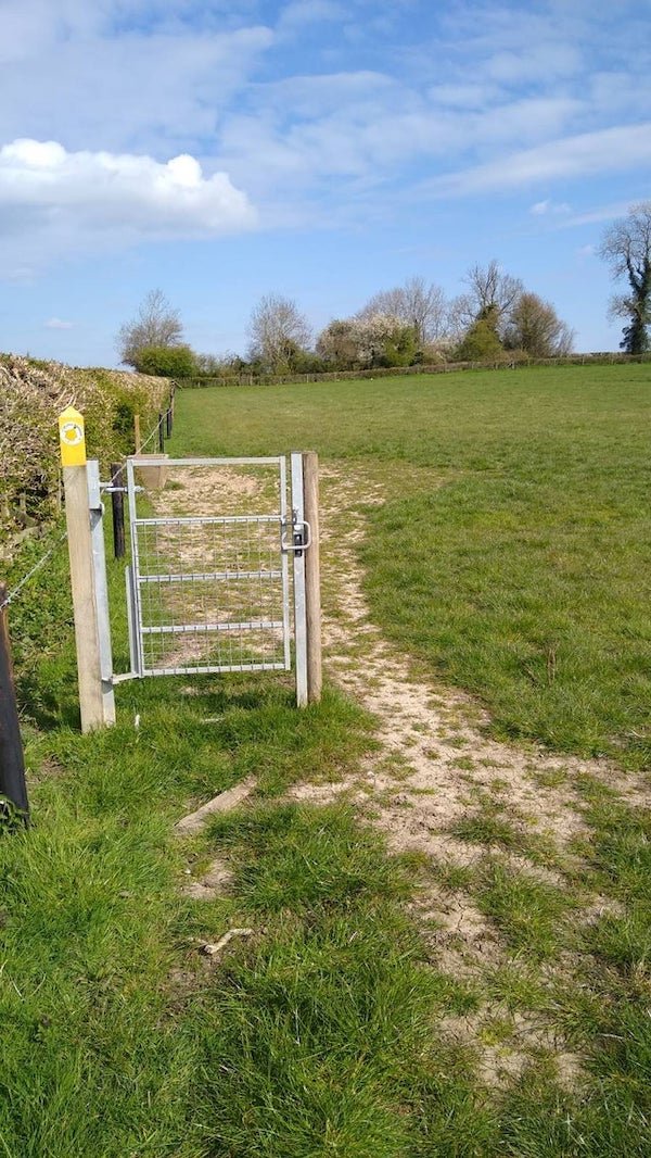 Almost Nailed It (36 pics)