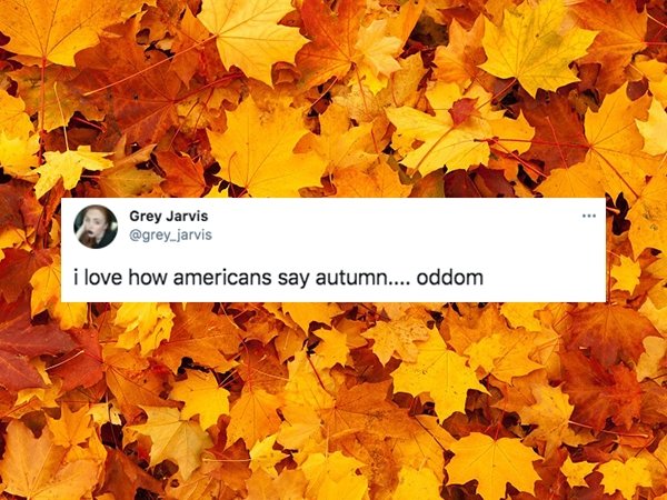 Non-Americans Reveal Weird American Things They Actually Love (27 pics)