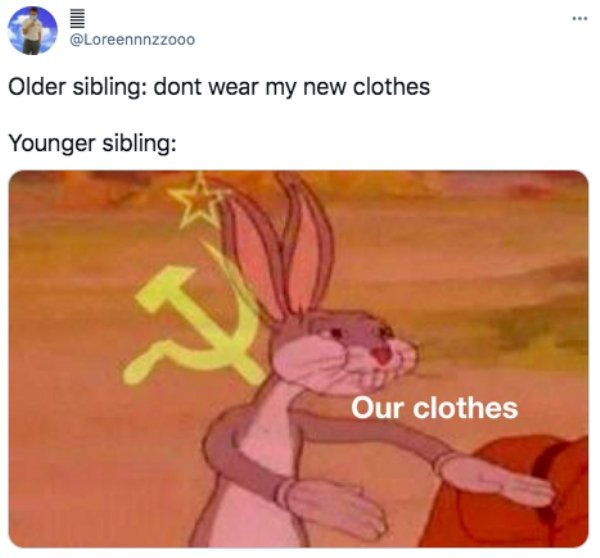 Sibling Memes And Tweets (29 pics)
