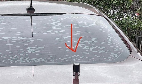 What Are These Things For? (22 pics)