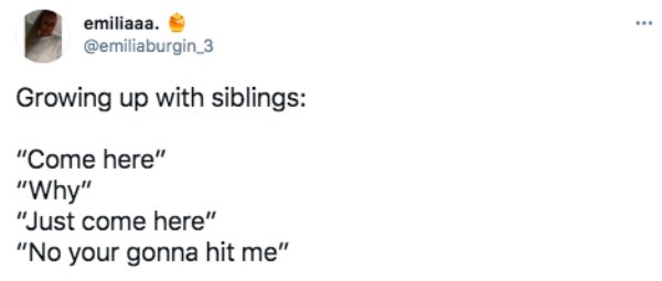 Sibling Memes And Tweets (29 pics)