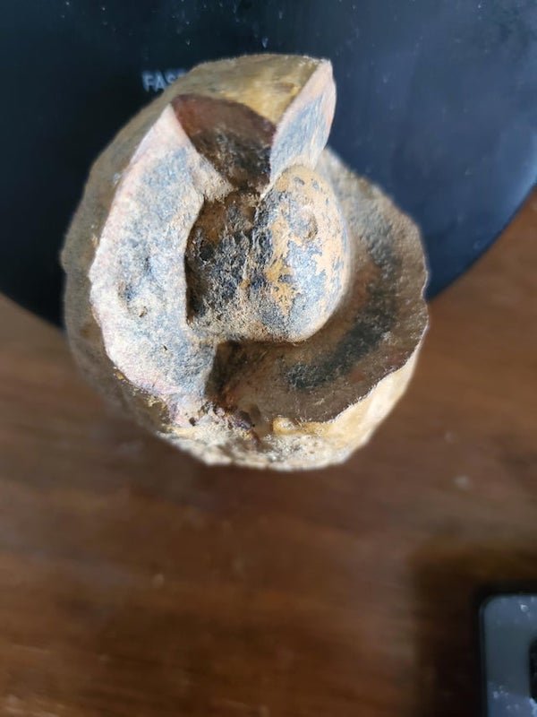 What Are These Things For? (22 pics)