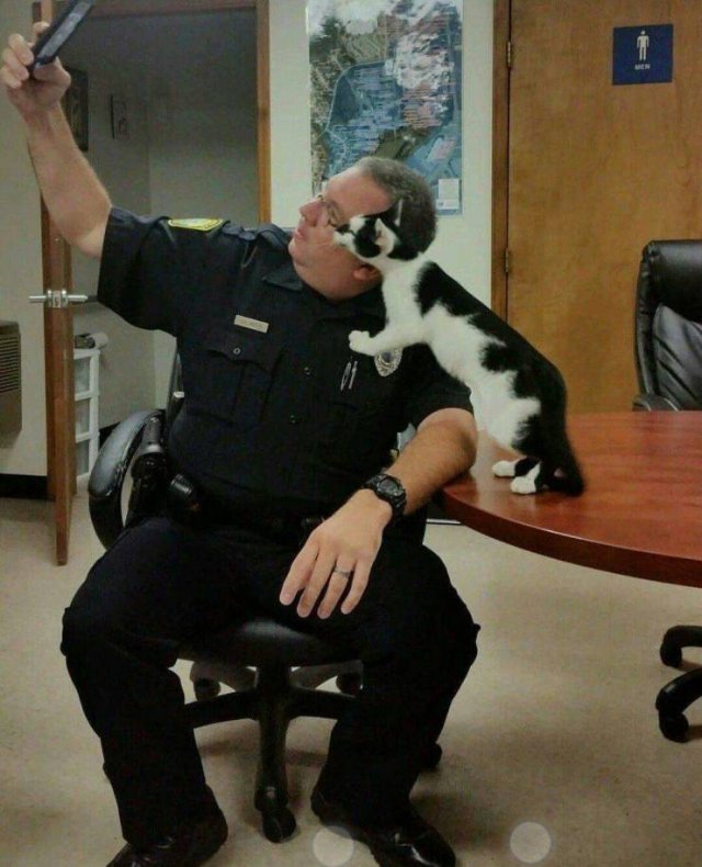 Acid Picdump 1 (80 pics)