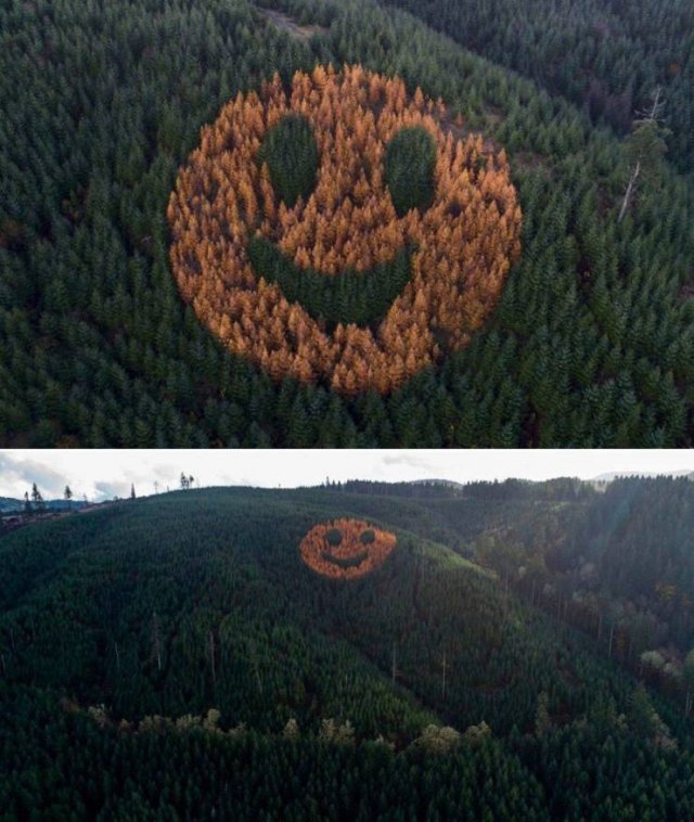 Acid Picdump 1 (80 pics)