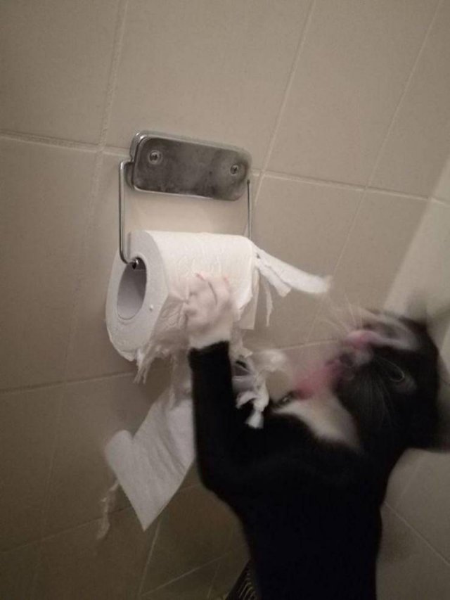 Acid Picdump 1 (80 pics)