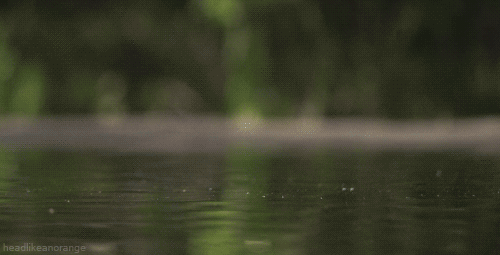 Acid Gifdump, April 21 (25 gifs)
