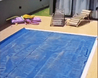 Acid Gifdump, April 21 (25 gifs)