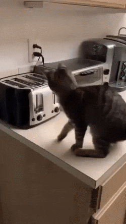 Acid Gifdump, April 21 (25 gifs)