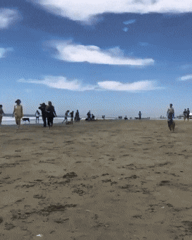 Acid Gifdump, April 21 (25 gifs)
