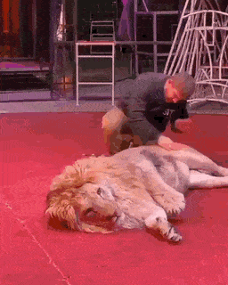 Acid Gifdump, April 21 (25 gifs)