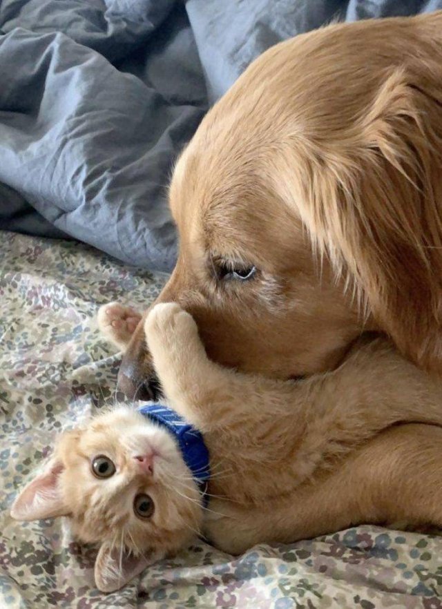 A Lot Of Love In Here (16 pics) A Lot Of Love In Here (16 pics)