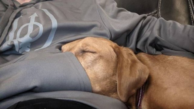 A Lot Of Love In Here (16 pics) A Lot Of Love In Here (16 pics)