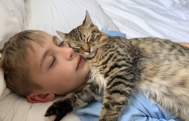 A Lot Of Love In Here (16 pics) A Lot Of Love In Here (16 pics)