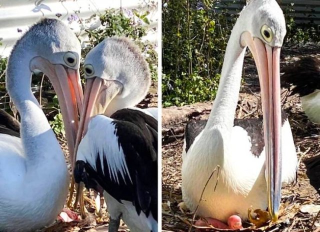 A Lot Of Love In Here (16 pics)