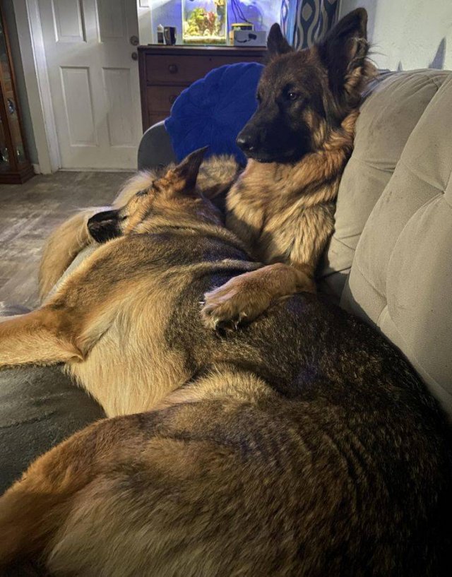A Lot Of Love In Here (16 pics) A Lot Of Love In Here (16 pics)