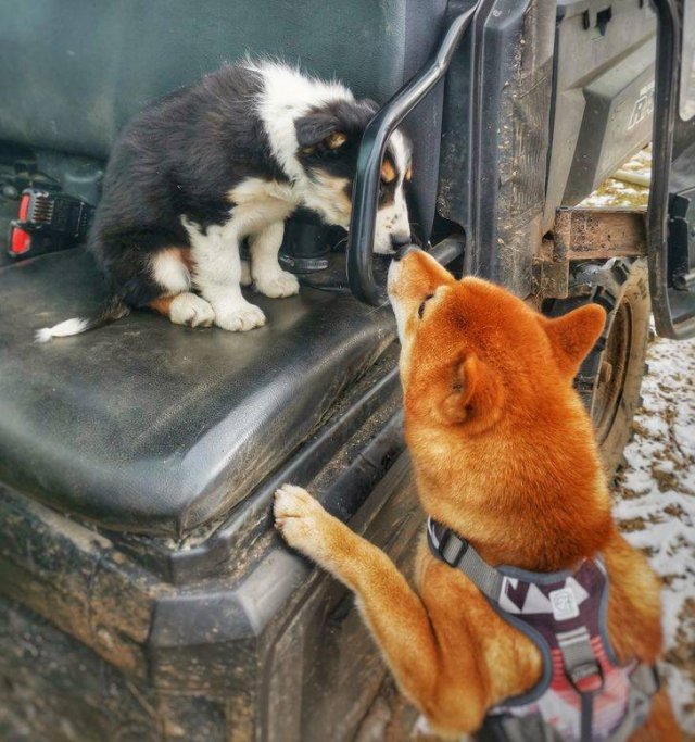 A Lot Of Love In Here (16 pics) A Lot Of Love In Here (16 pics)