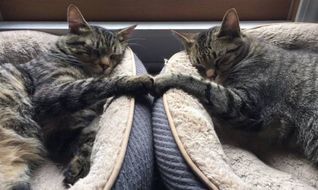 A Lot Of Love In Here (16 pics) A Lot Of Love In Here (16 pics)