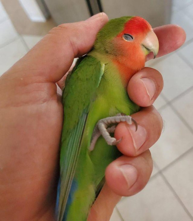 A Lot Of Love In Here (16 pics) A Lot Of Love In Here (16 pics)