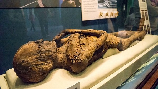 Facts About Ancient Mummies (15 pics)